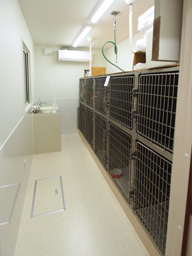犬入院室